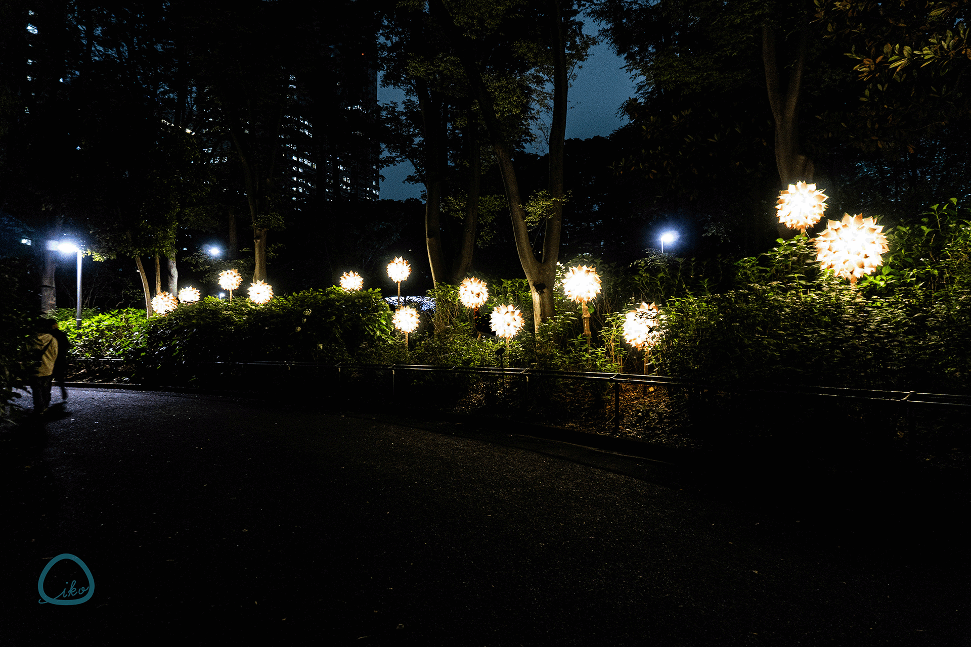 TOKYO LIGHTS 2026 フラワー作品 紫陽花