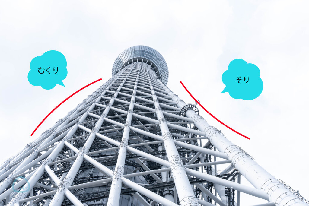LOOK UP CAFE TOKYO SKYTREE　スカイツリーを見上げる