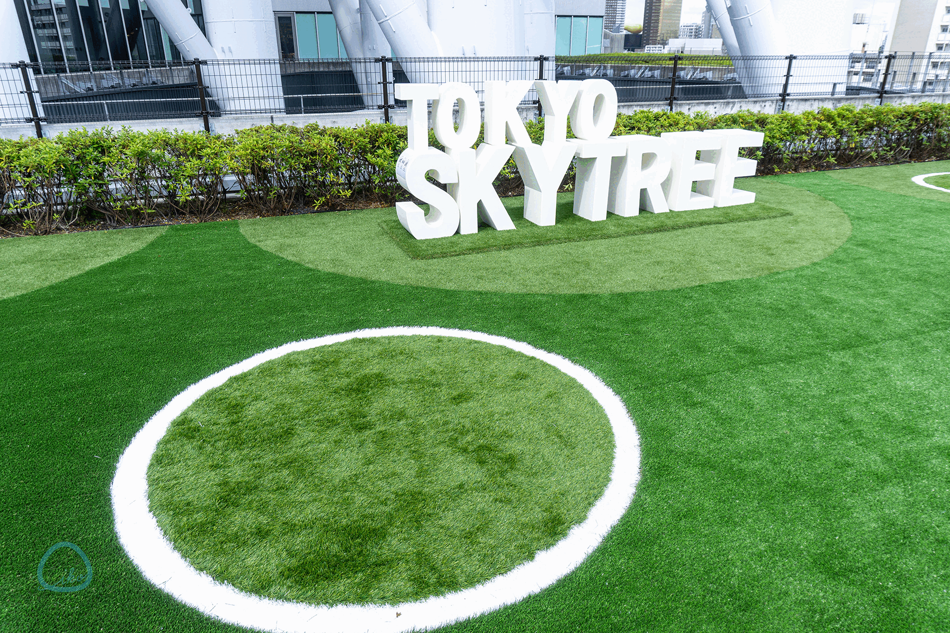 LOOK UP CAFE TOKYO SKYTREE　芝生