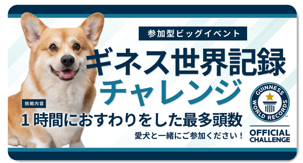 ギネス世界記録チャレンジ バナー