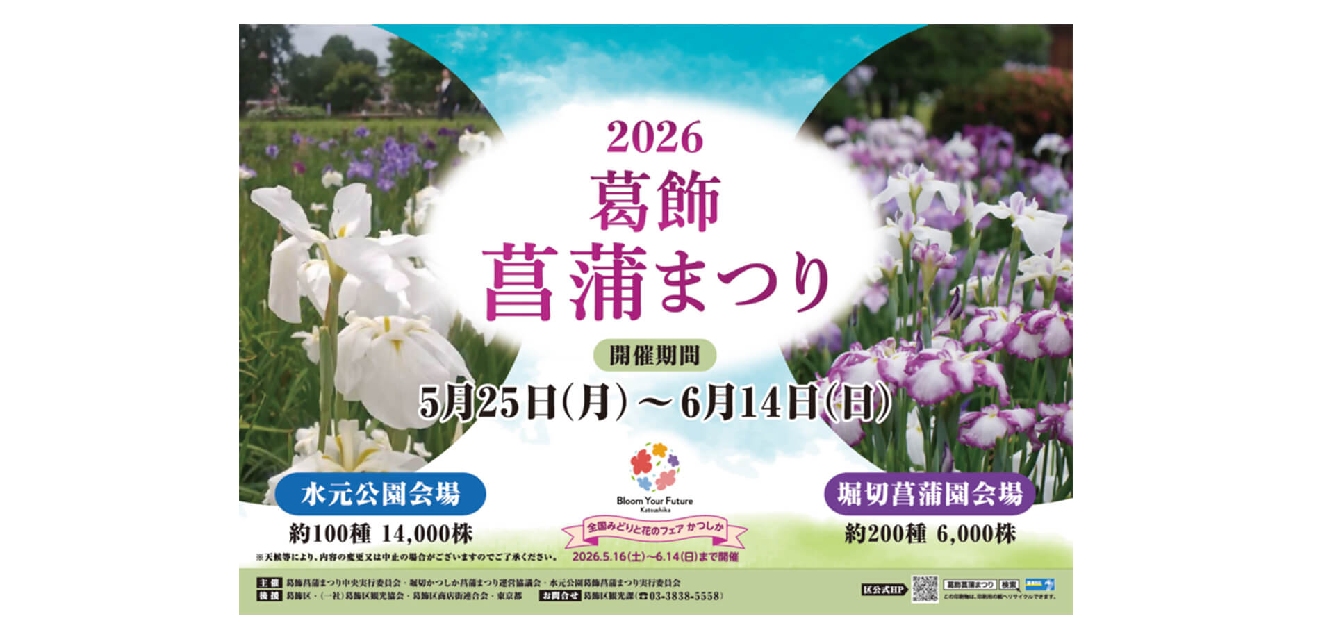 2026葛飾菖蒲まつり バナー