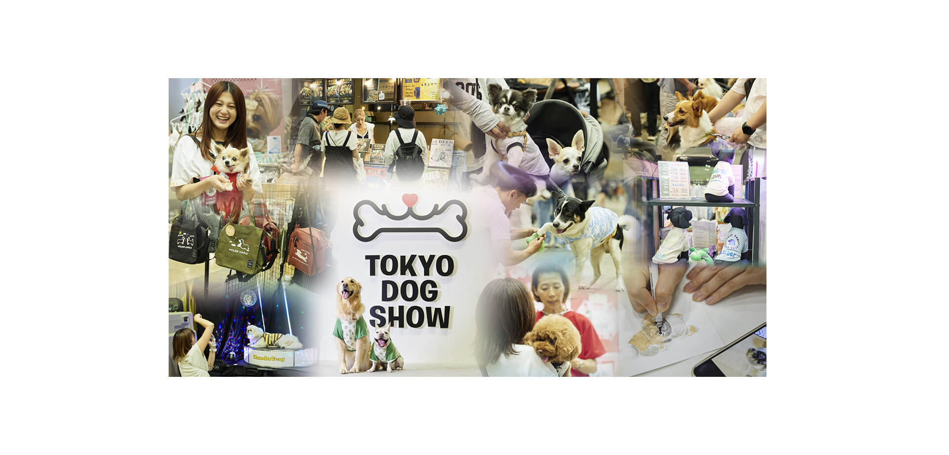 東京ドッグショー2026 メインビジュアル