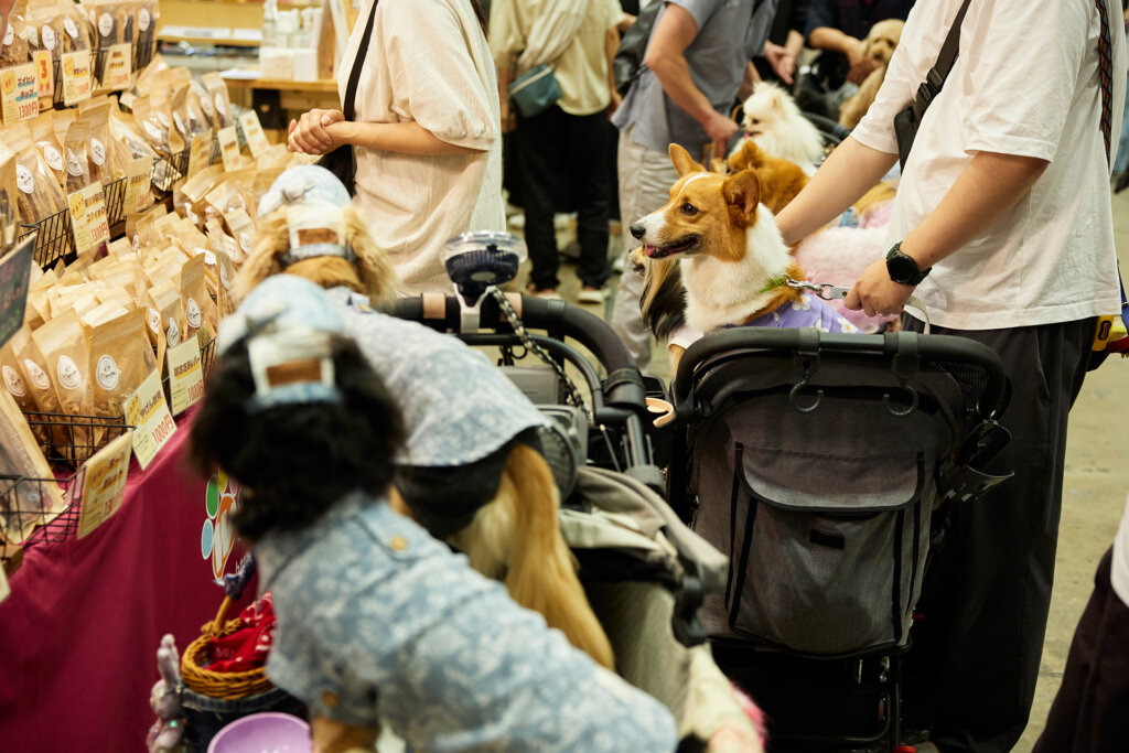 東京ドッグショー 犬連れで楽しむ来場者