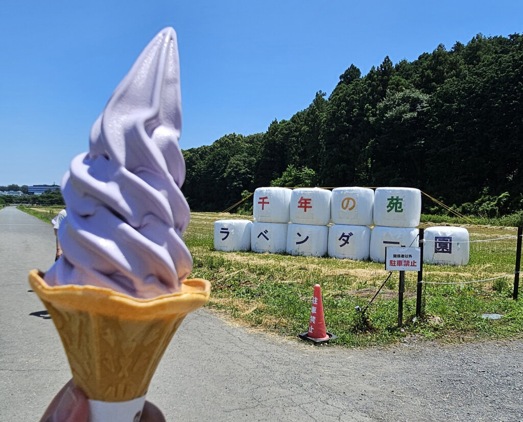 ラベンダー味のソフトクリーム
