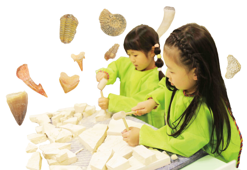 化石発掘体験をする子ども