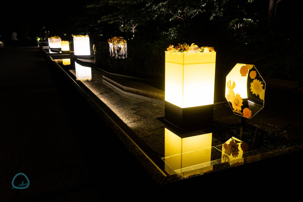 Otemachi One みなも花灯り 夜間の光景