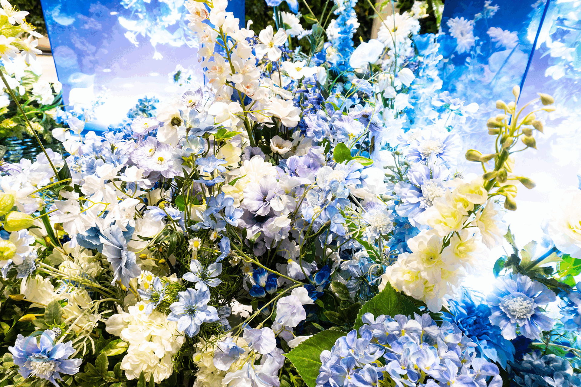 Otemachi One みなも花灯り 青いアクリルケースの作品