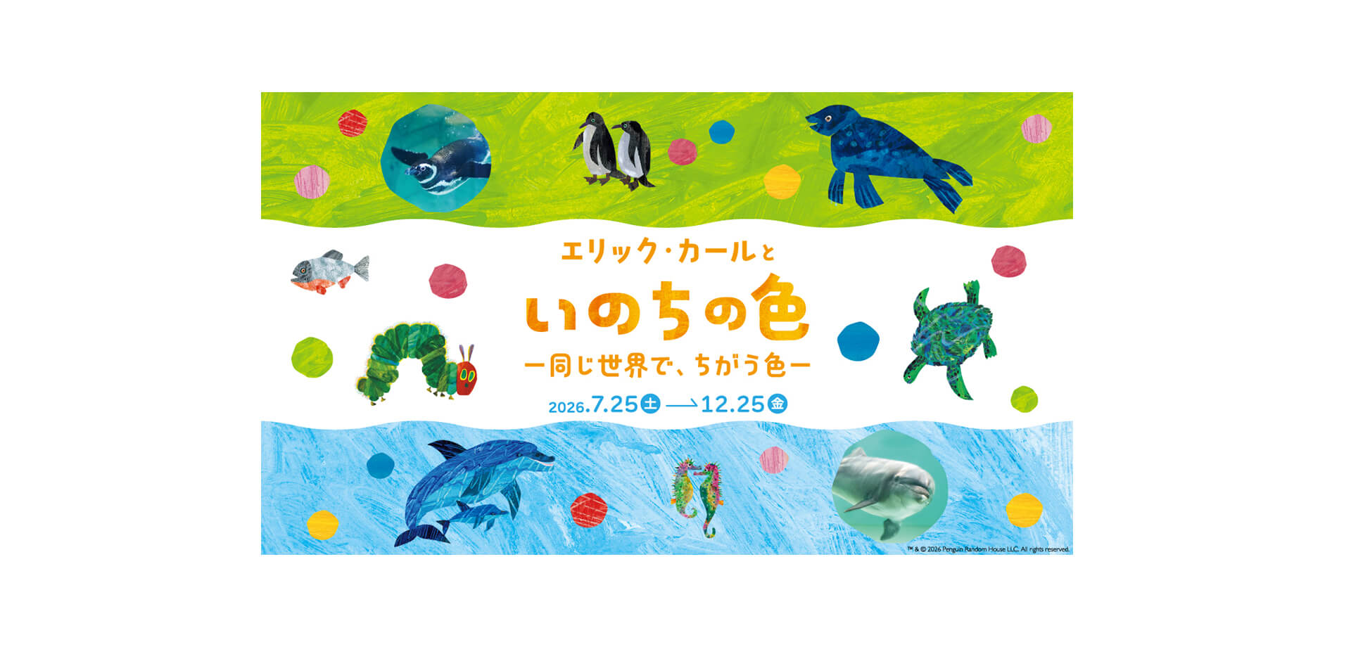 エリック・カールといのちの色ー 同じ世界で、ちがう色 ー　メインビジュルアル
