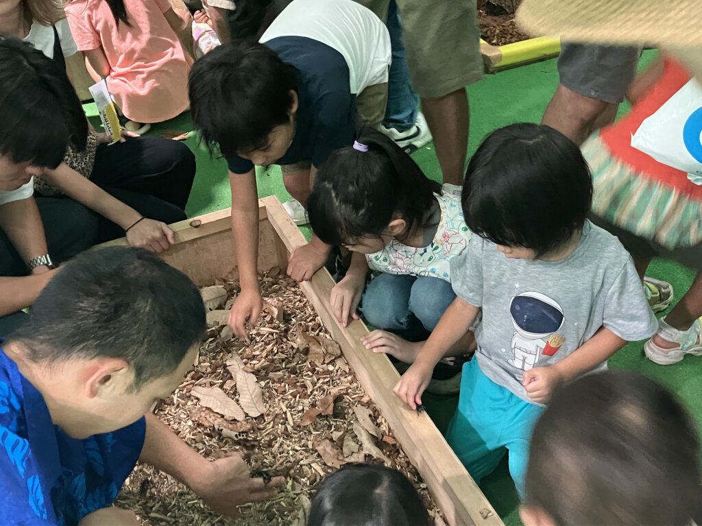 昆虫を探す子どもたち