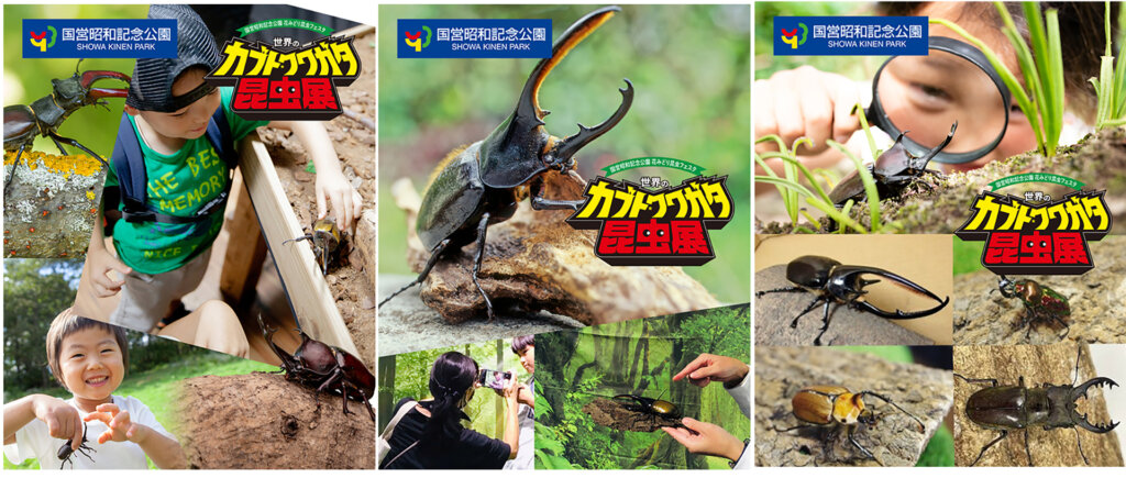 触れ合い、写真撮影、虫メガネでの観察
