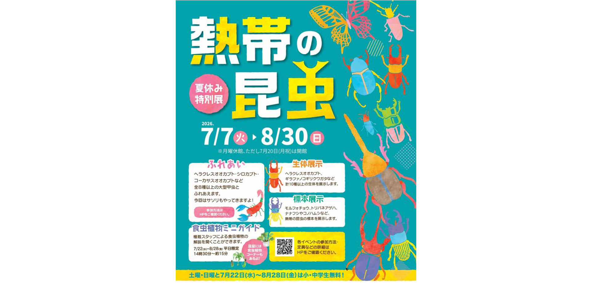 熱帯の昆虫2026 告知バナー