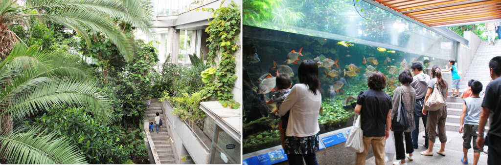 板橋区立熱帯環境植物館　館内の様子