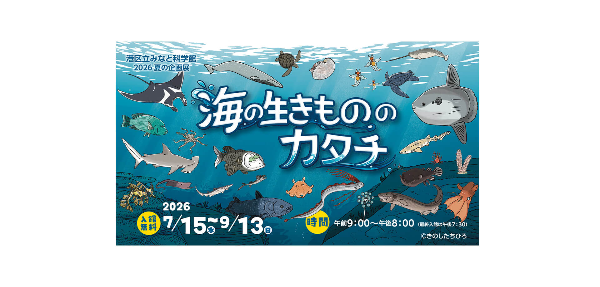 海の生きもののカタチ メインビジュアル
