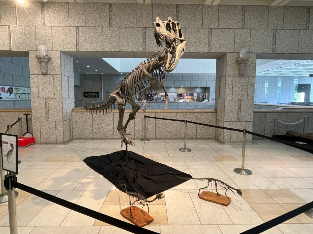 ティラノサウルス全身骨格