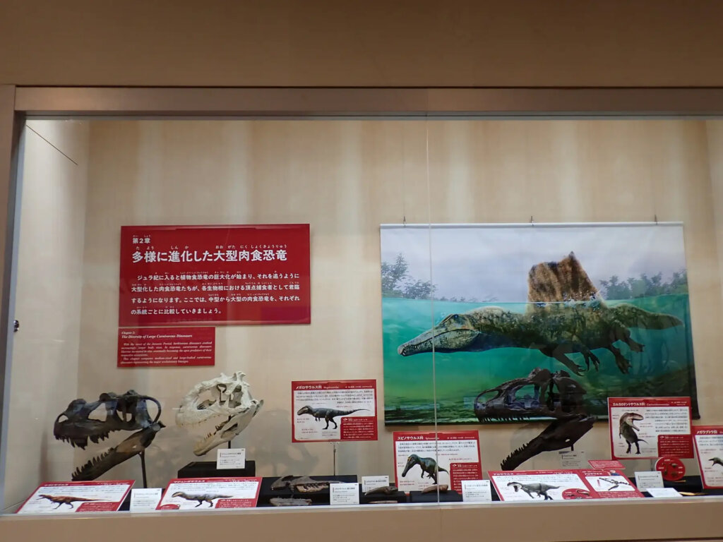 ちば恐竜博－驚異の捕食者（ハンター）たち－　展示風景
