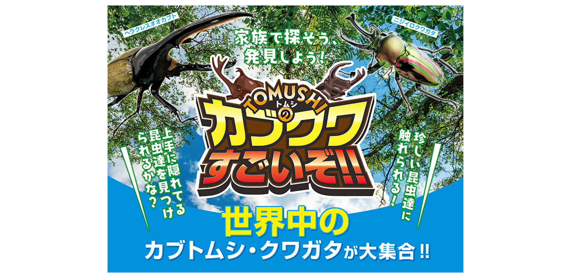 TOMUSHIのカブクワすごいぞ!! メインビジュアル