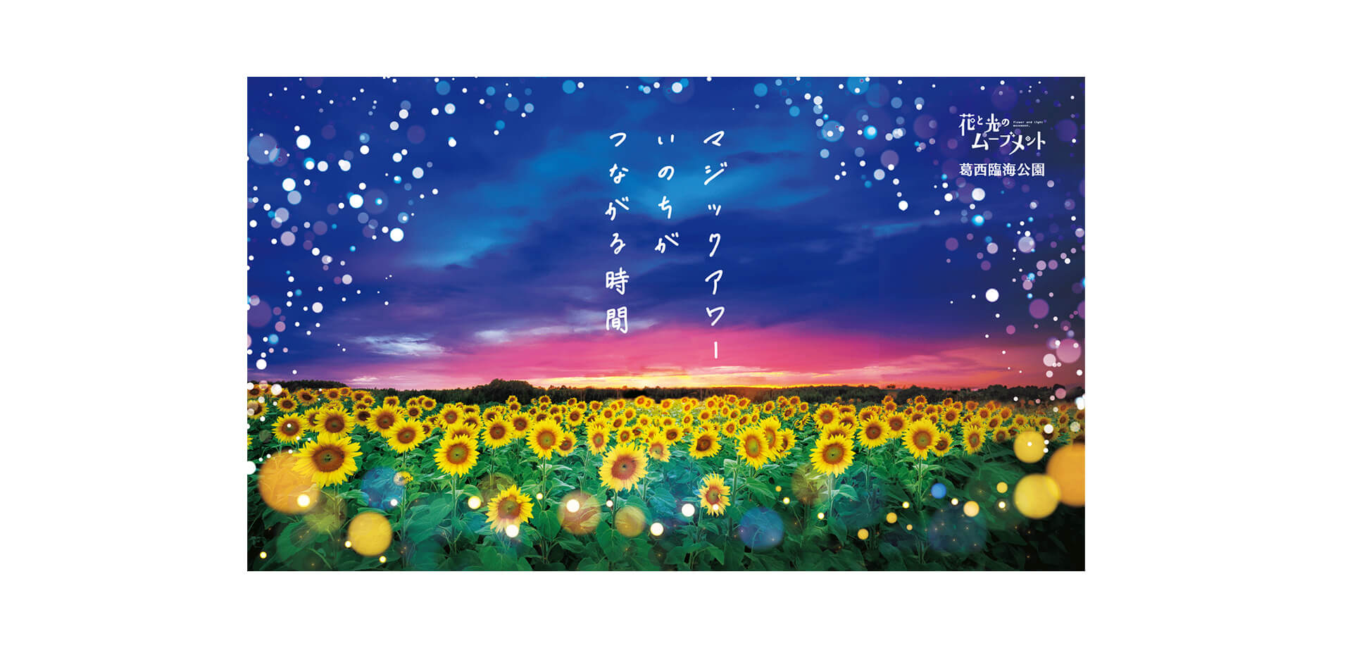 「花と光のムーブメント」葛西臨海公園　マジックアワー いのちがつながる時間 メインビジュアル