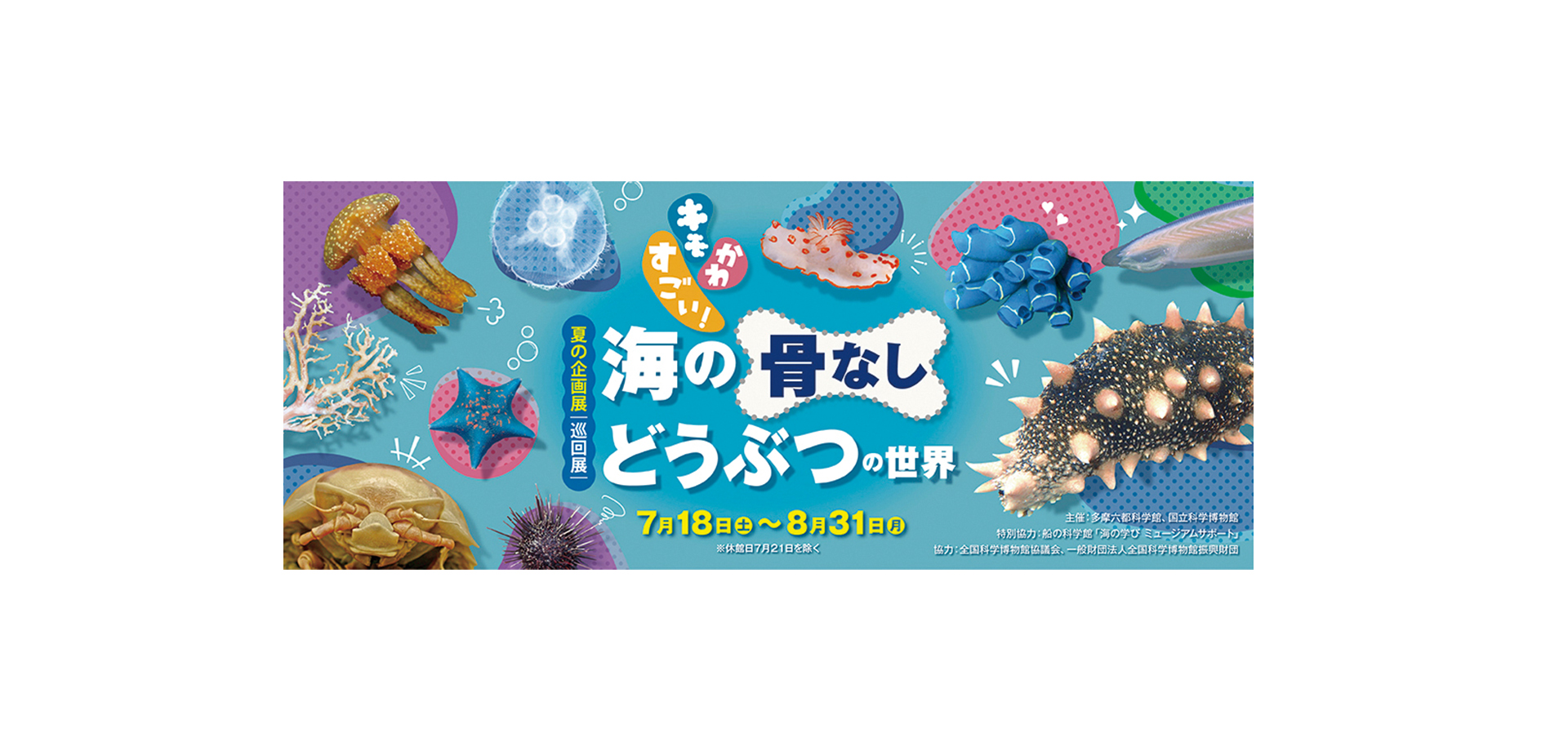 キモかわすごい！海の骨なしどうぶつの世界 メインビジュアル