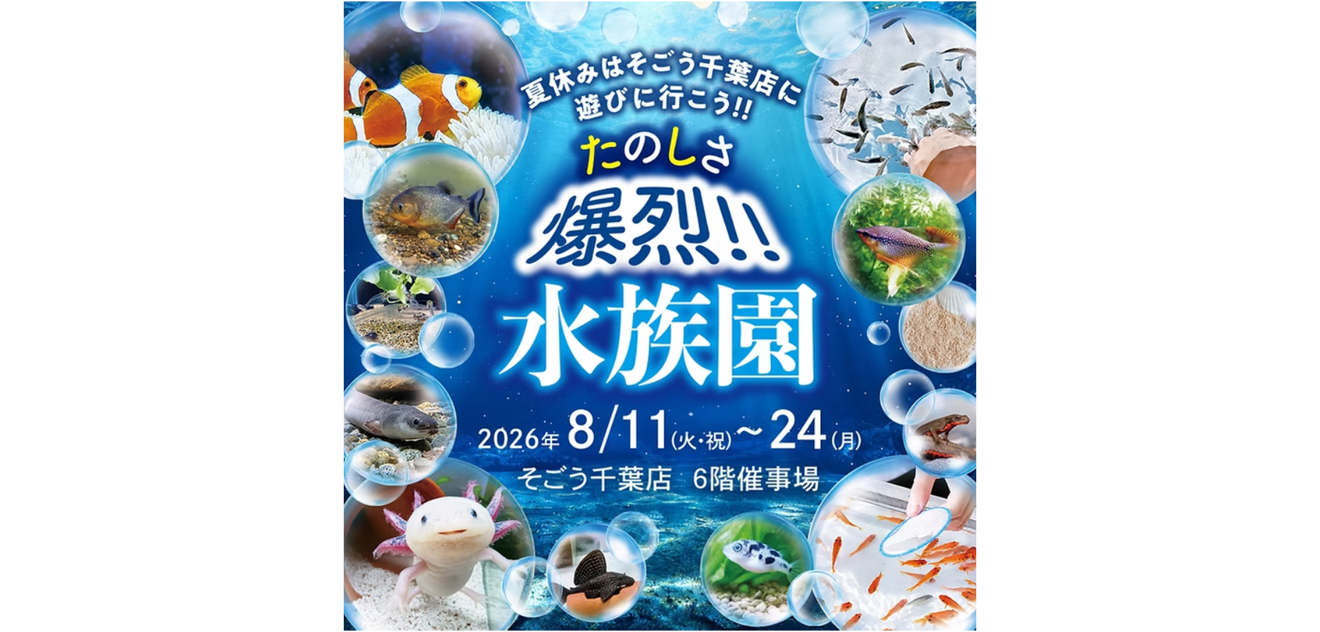 たのしさ爆烈!! 水族園 メインビジュアル