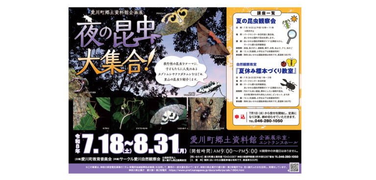 企画展「夜の昆虫大集合！」開催チラシ