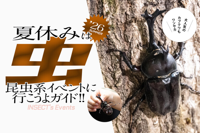 昆虫展・昆虫イベント　まとめ記事バナー