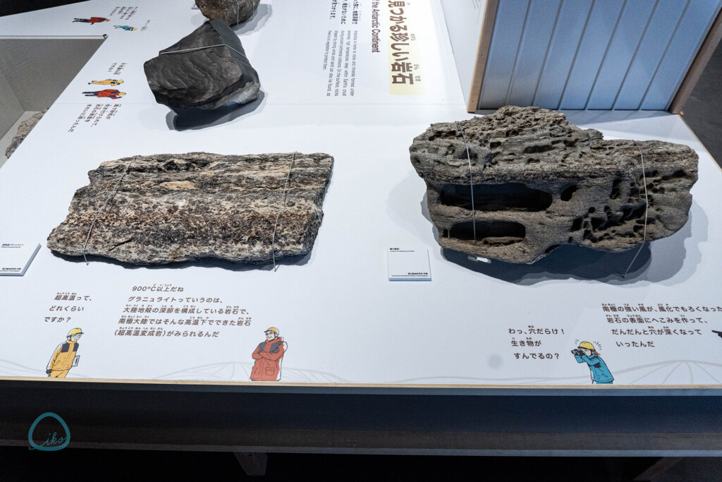 大南極展 南極の地質展示