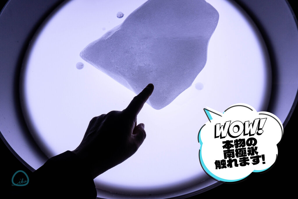 大南極展 南極の氷