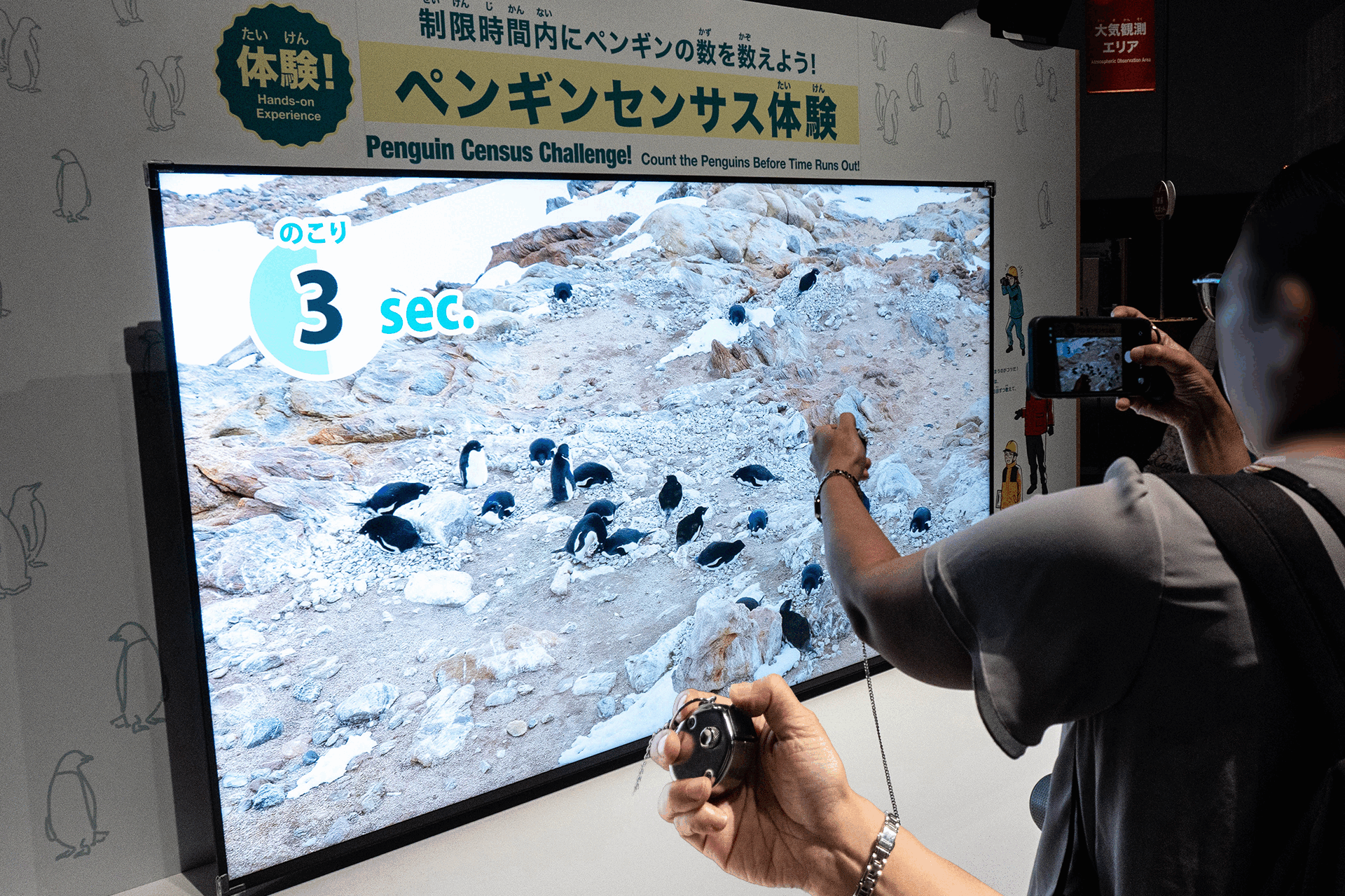 大南極展 ペンギンの数をカウントする女性