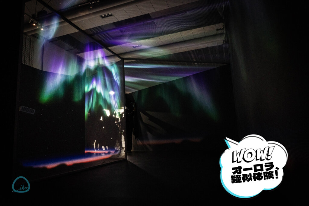 大南極展 オーロラ体験