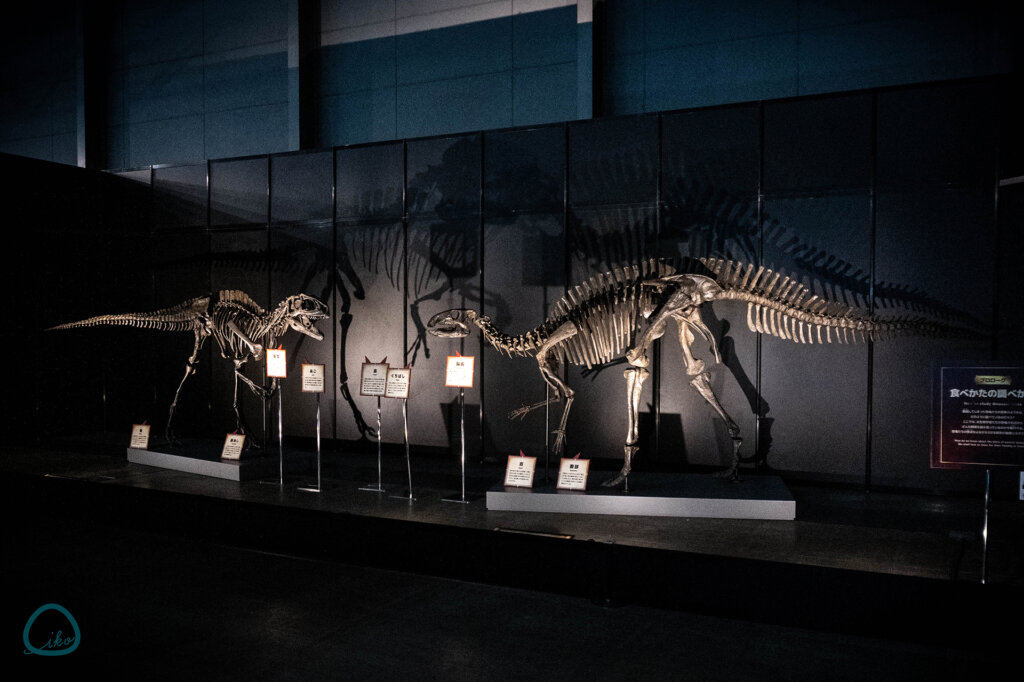 ヨコハマ恐竜展 プロローグの前身骨格