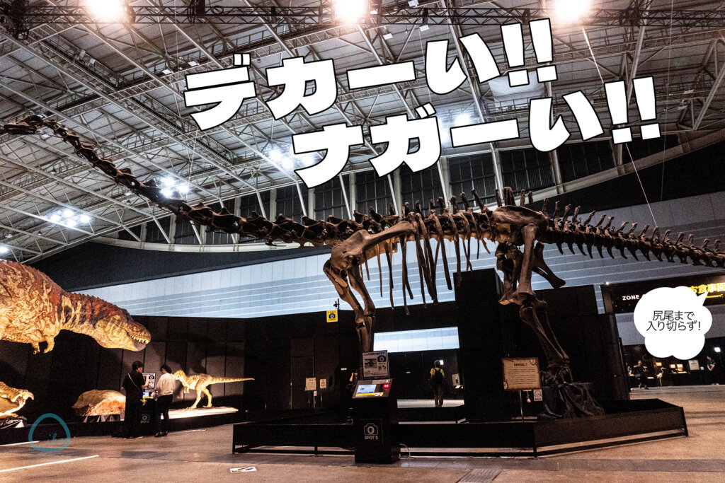 ヨコハマ恐竜展 全身骨格