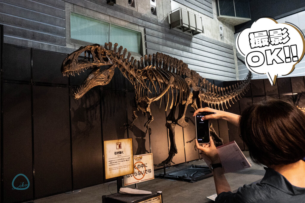 ヨコハマ恐竜展 全身骨格
