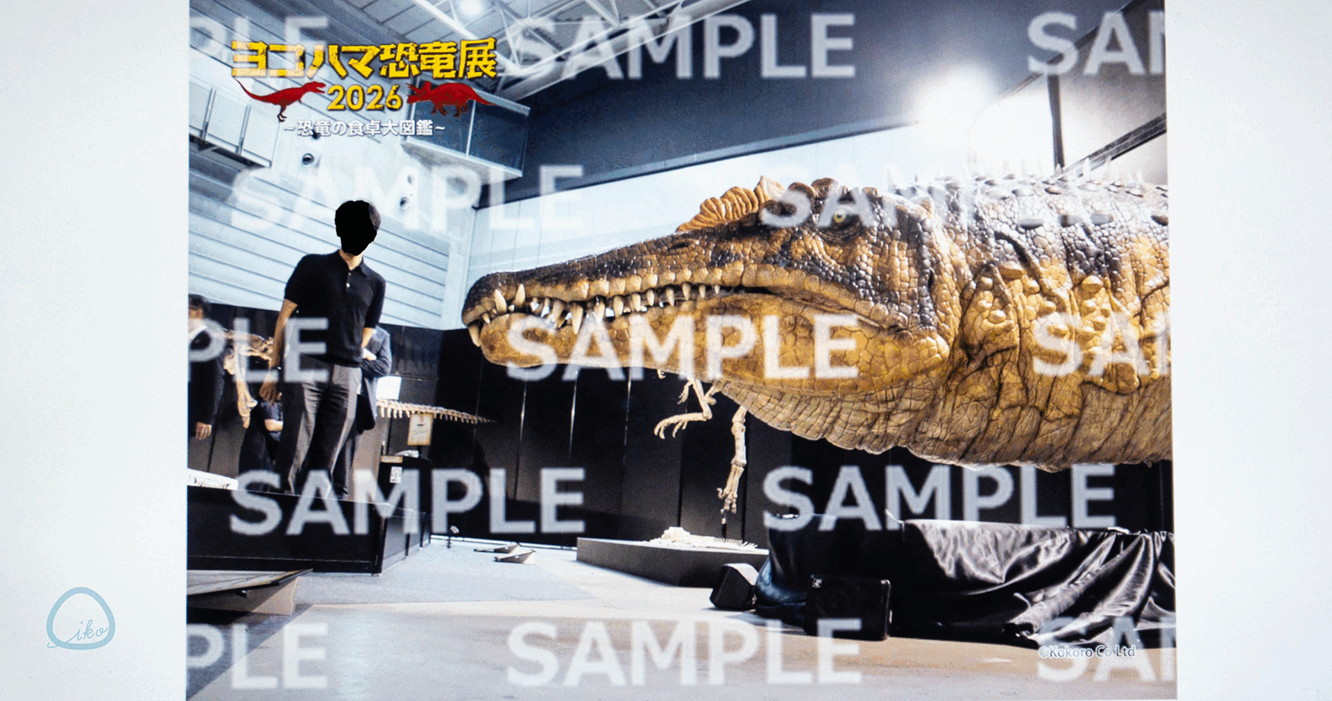 ヨコハマ恐竜展 フォトサービス