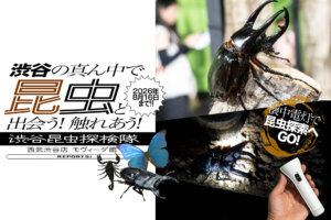渋谷昆虫探検隊　メインビジュアル