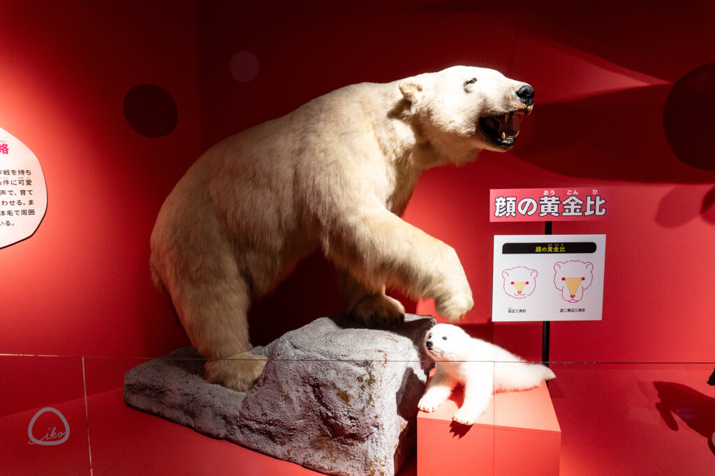 いきもの超ワールド展　シロクマの剥製