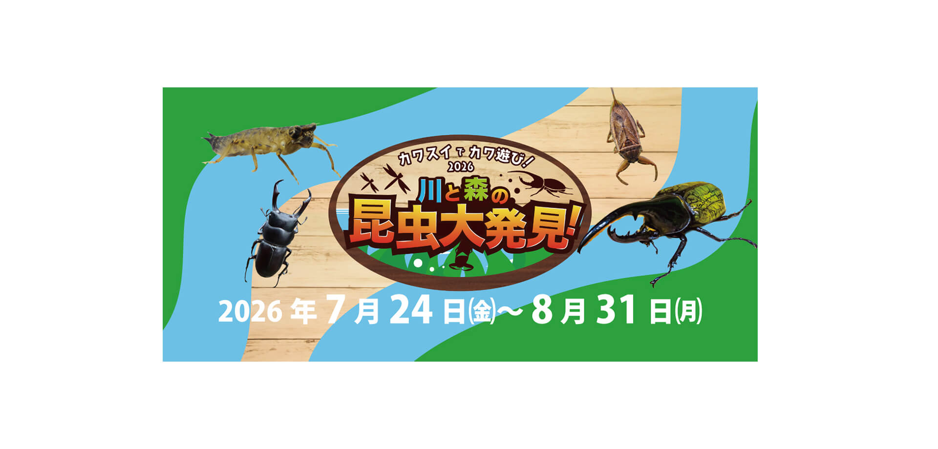カワスイで カワ遊び！川と森の昆虫大発見！ メインビジュアル