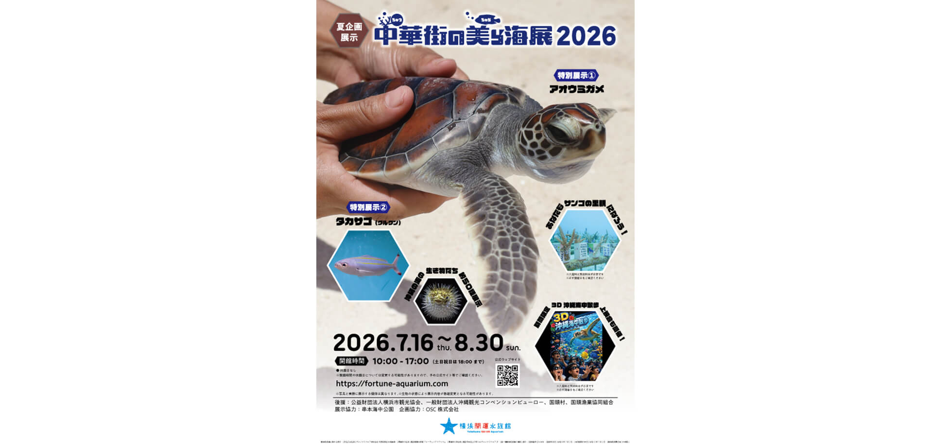 企画展『中華街の美ら海展2026』 チラシ