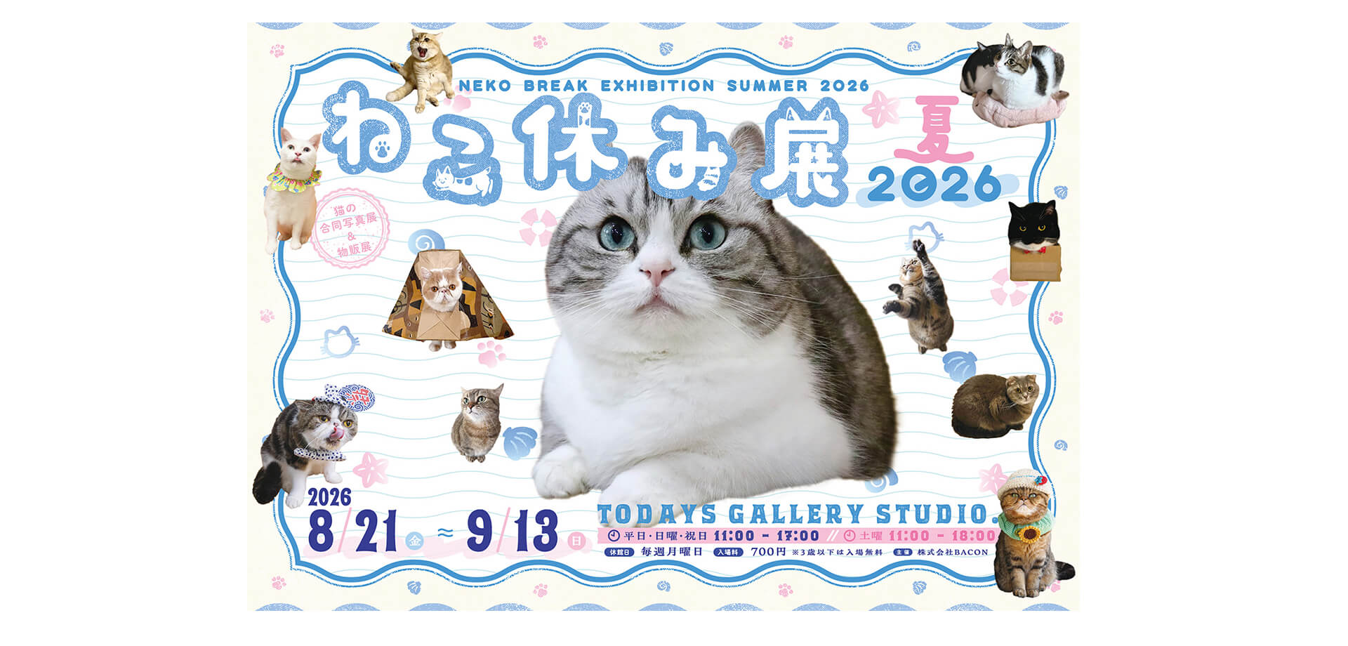 合同写真展＆物販展「ねこ休み展」 メインビジュアル