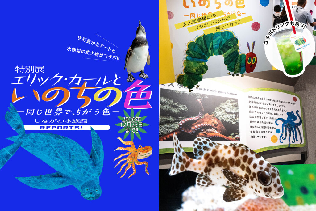 エリックカール いのちの色 メインビジュアル