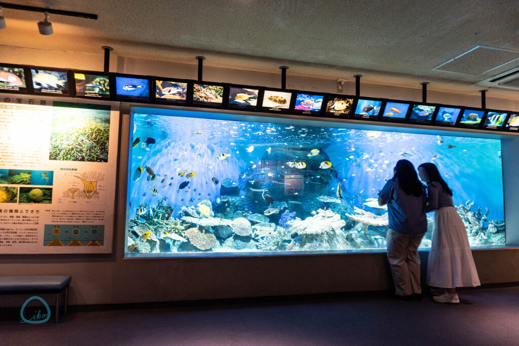しながわ水族館 館内風景