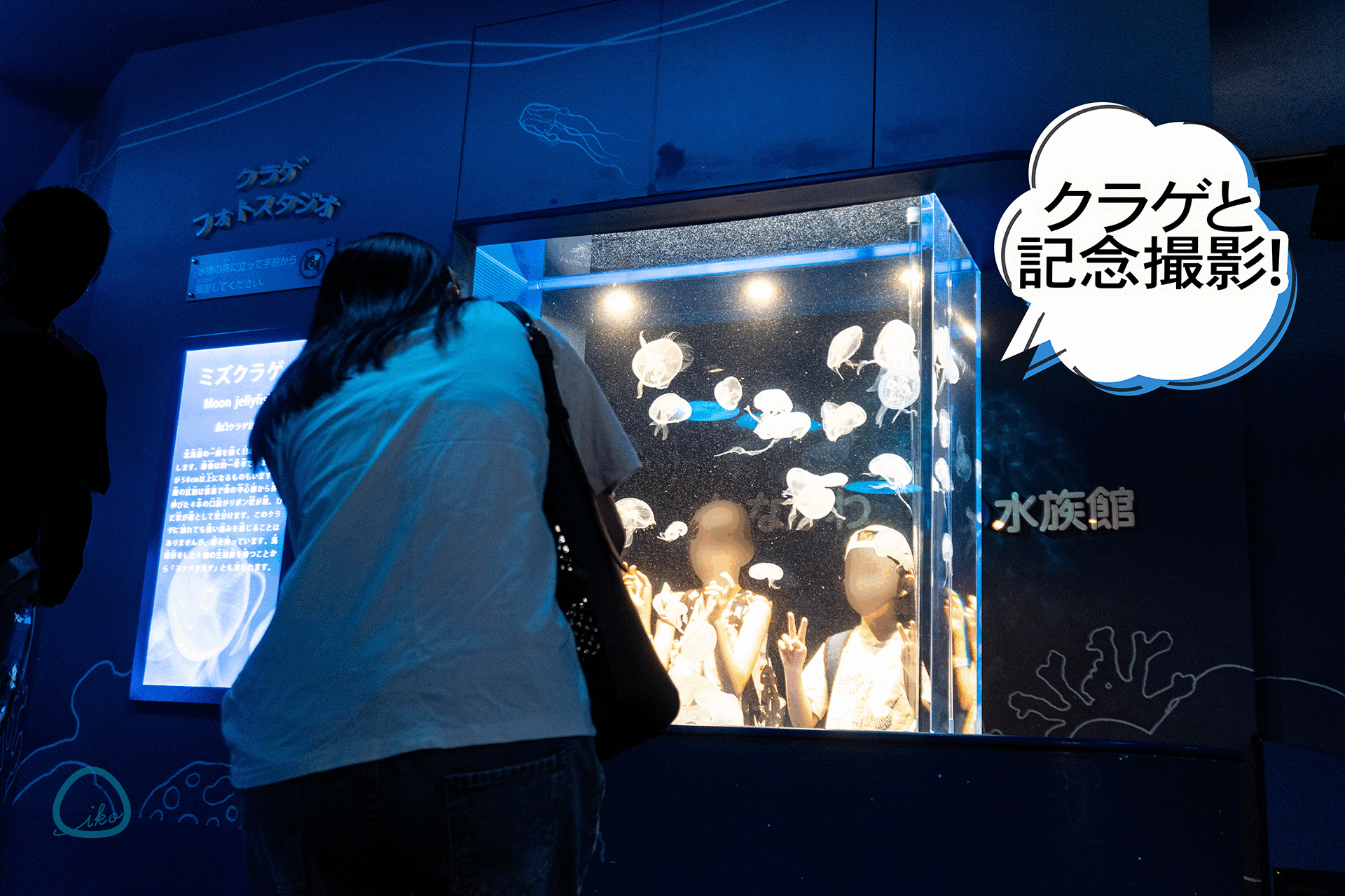 しながわ水族館 館内風景 クラゲ