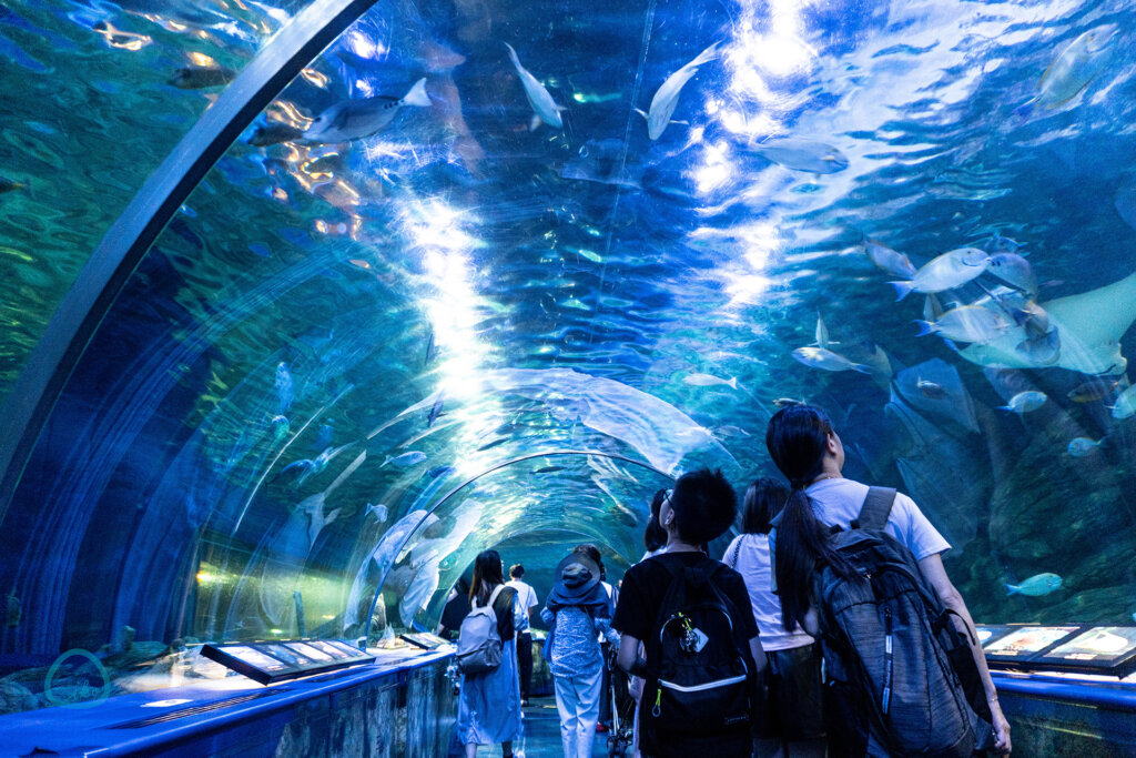 しながわ水族館 館内風景 トンネル水槽