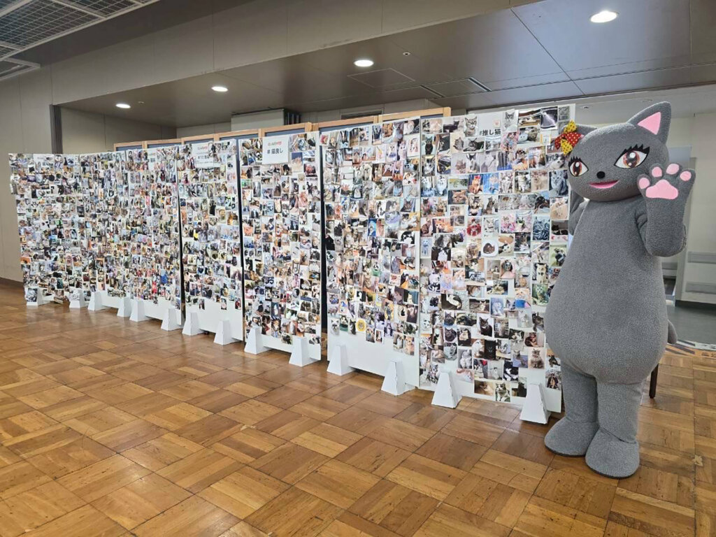 猫の写真展