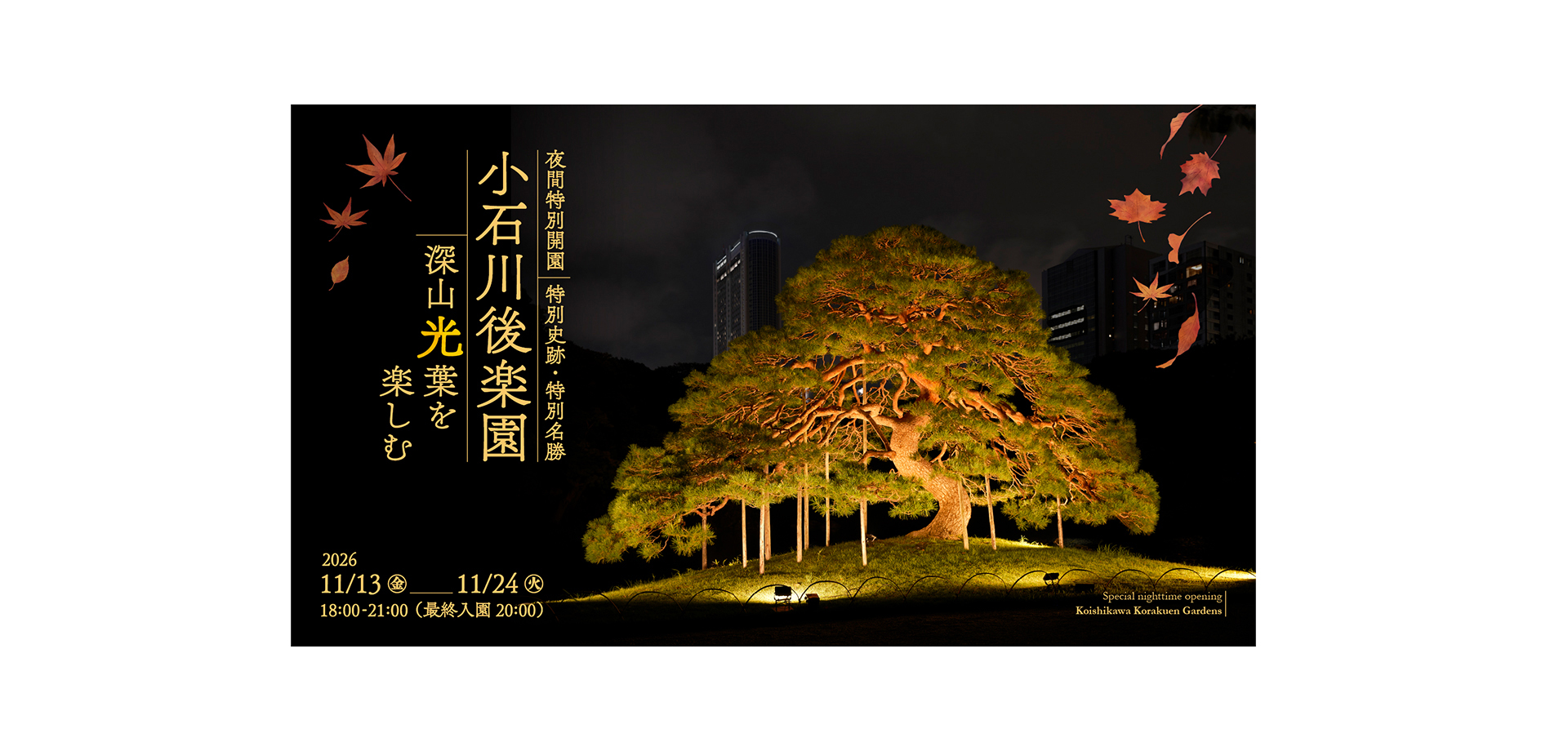夜間特別開園 『小石川後楽園 深山光葉を楽しむ』 メインビジュアル