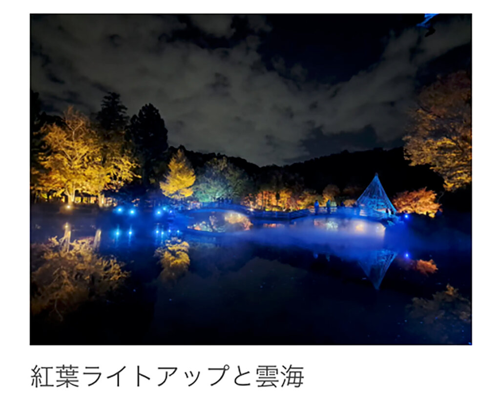 高揚のライトアップと雲海