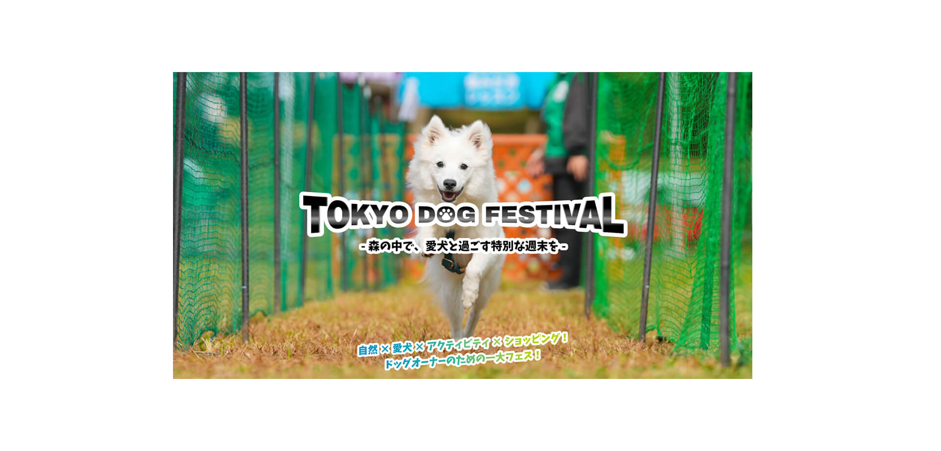 TOKYO DOG FESTIVAL2026　バナー