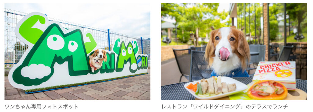 犬専用フォトスポット　犬と食事