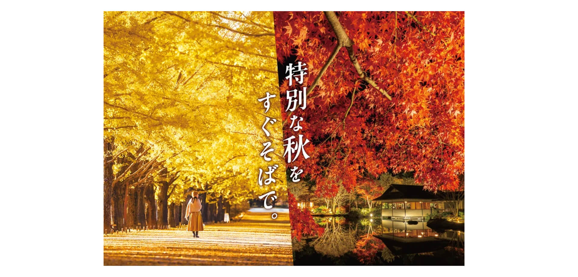 黄葉・紅葉まつり＆秋の夜散歩2026 メインビジュアル