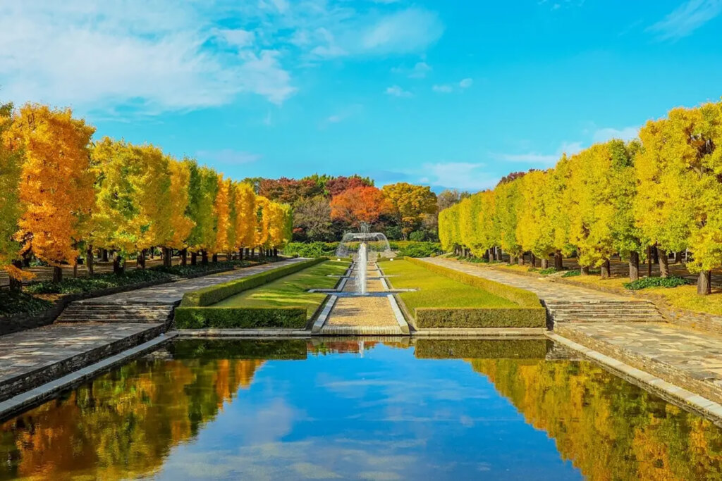昭和記念公園の紅葉
