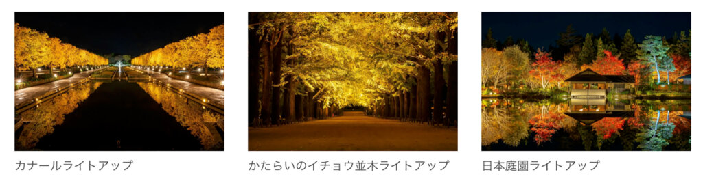 昭和記念公園の紅葉ライトアップ